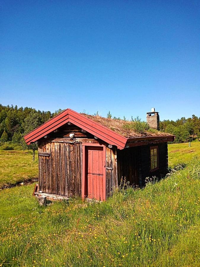 Rondane Friluftssenter Rondetunet Brenn エクステリア 写真