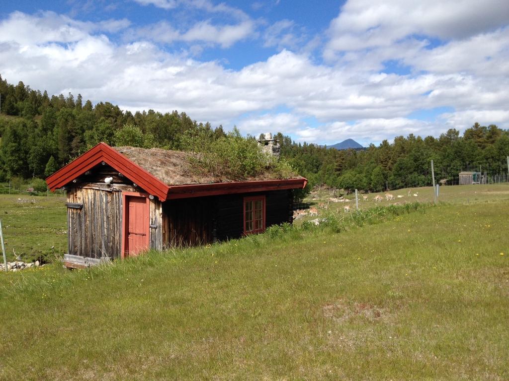 Rondane Friluftssenter Rondetunet Brenn 部屋 写真
