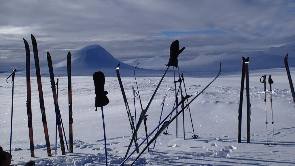 Rondane Friluftssenter Rondetunet Brenn エクステリア 写真